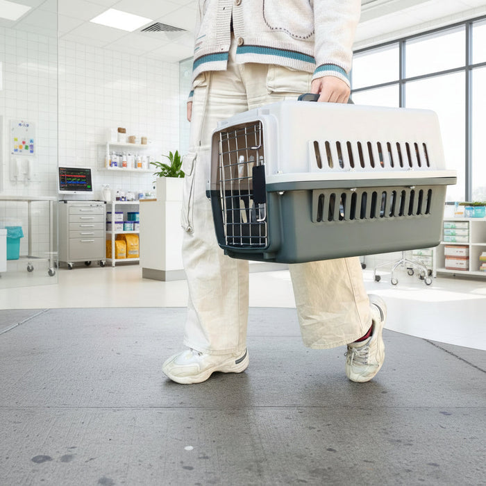 Dealonlinenz 48cm pet travel cage for dogs and cats, sturdy pet carrier with secure door and ventilation for safe travel.