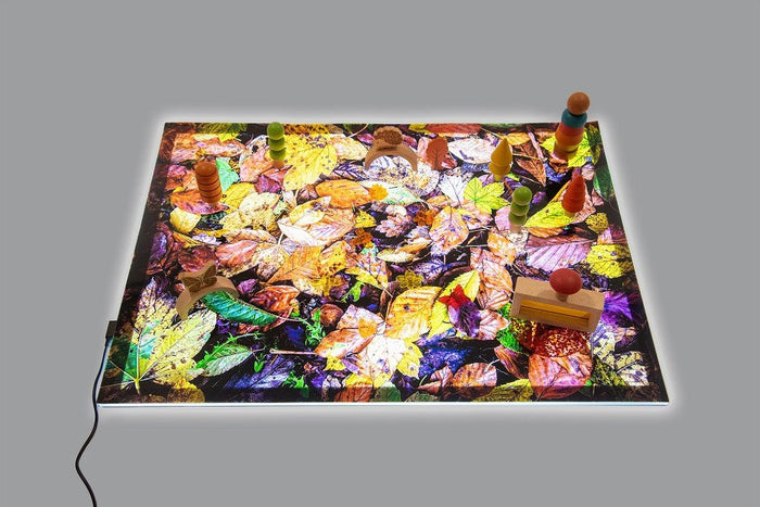 A2 Light Panel + Autumn Leaves Play Mat 73578P (Direct Shipping) - Little Whispers
