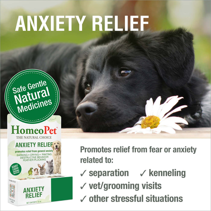 ANXIETY RELIEF