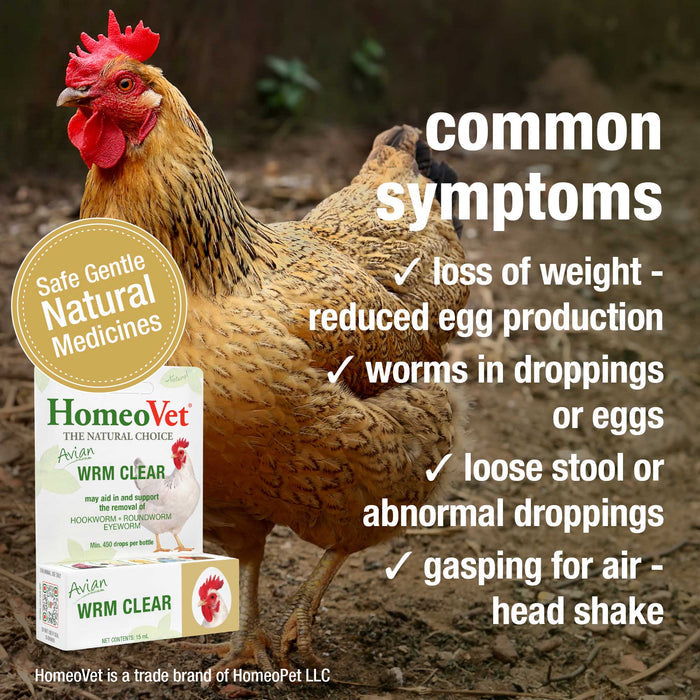 Avian Health Bundle