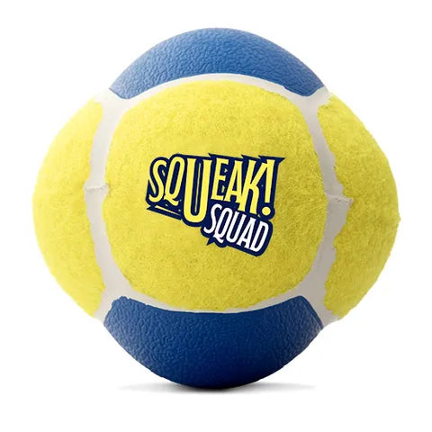 BAINBRIDGE BUBBLE BALL - SQUEAK SQUAD DOG TOY