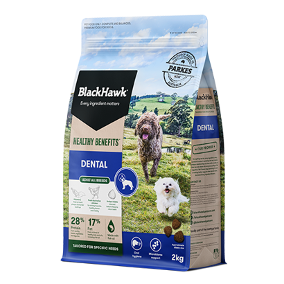 BLACKHAWK DOG HEALTHY BENEFITS DENTAL