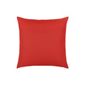 Canvas Logo Red Essentials | 17"x17"