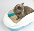 Gray cat litter tray with scoop and handle, made by dealonline.co.nz, designed for easy cleaning and odor control.