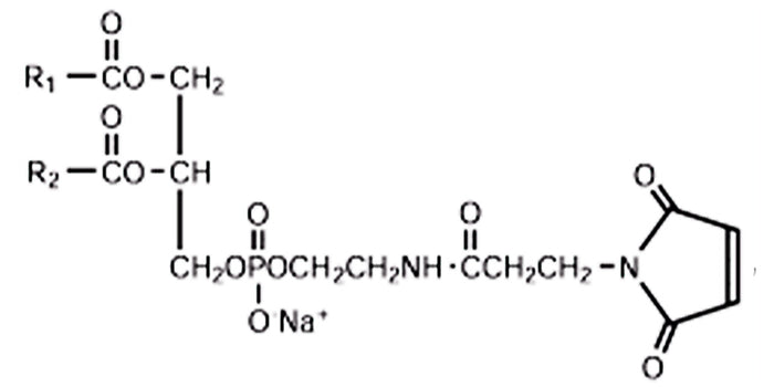 COATSOME® FE-8080MA3 (DSPE-MAL)
