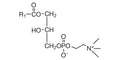 COATSOME® MC-80H (S-LysoPC)