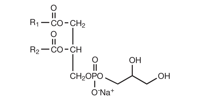 COATSOME® MG-4040LS (DMPG-Na)