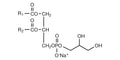 COATSOME® MG-6060LS (DPPG-Na)