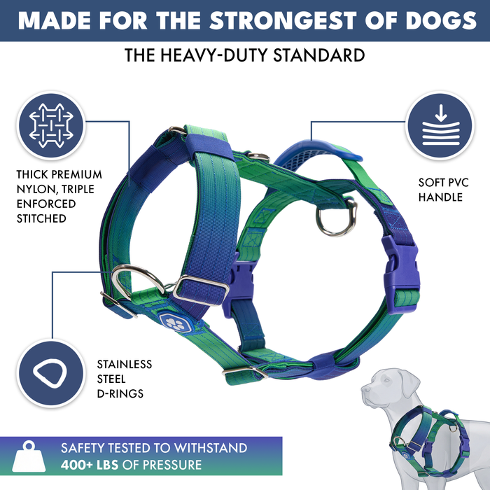Lime Wave Harness