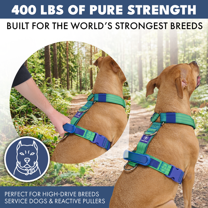 Lime Wave Harness