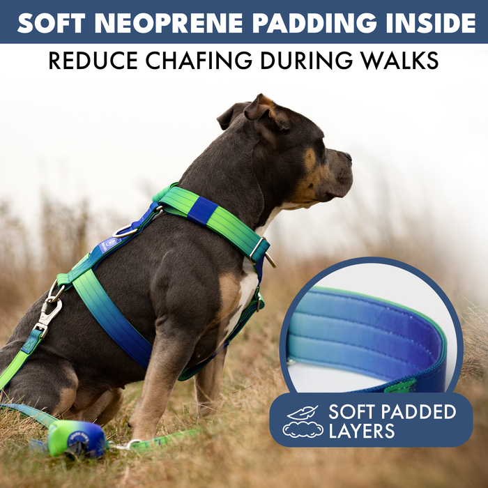 Lime Wave Harness