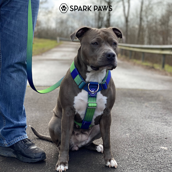 Lime Wave Harness