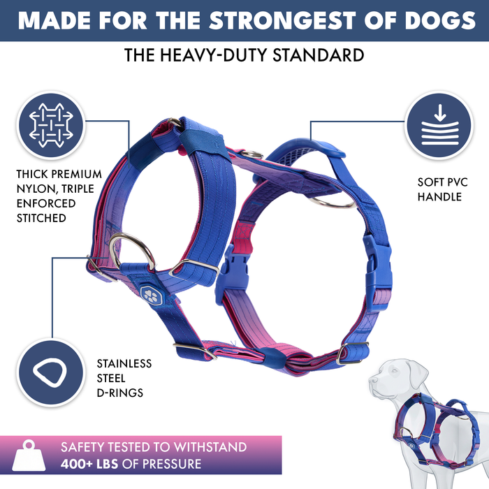 Snow Cone Harness