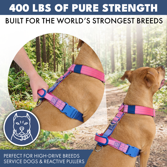 Snow Cone Harness
