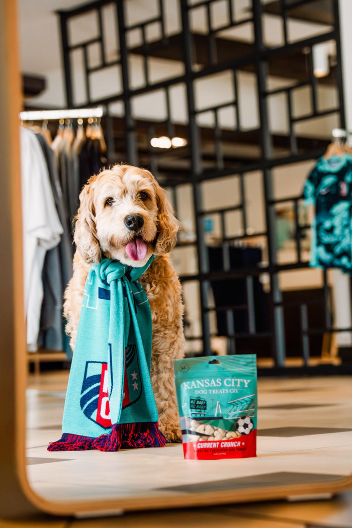 A golden retriever dog wearing a teal Kansas City Chiefs scarf stands in a retail store next to a bag of Kansas City Chiefs dog treats.