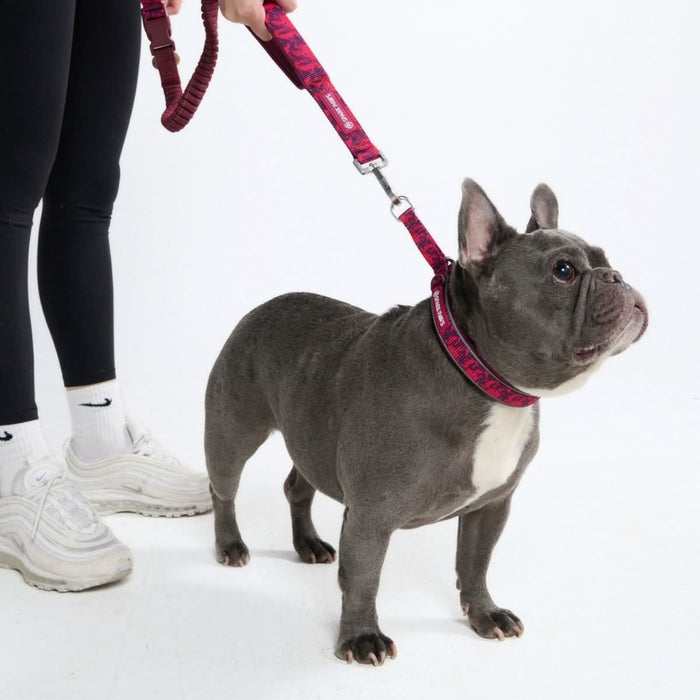 Fuchsia Camo Martingale Collar||size:A,B