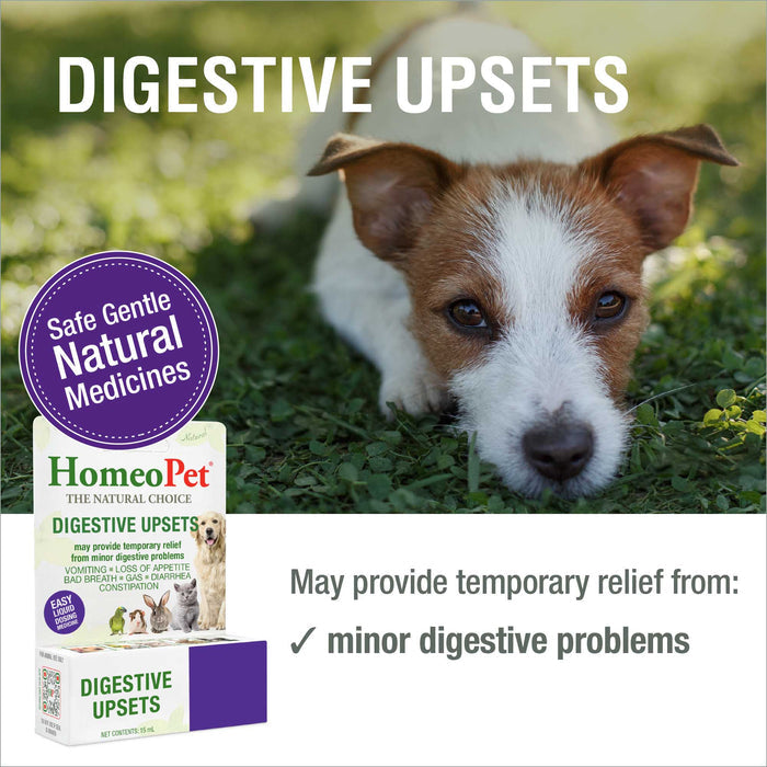 DIGESTIVE UPSETS