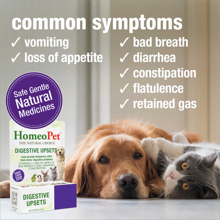 DIGESTIVE UPSETS