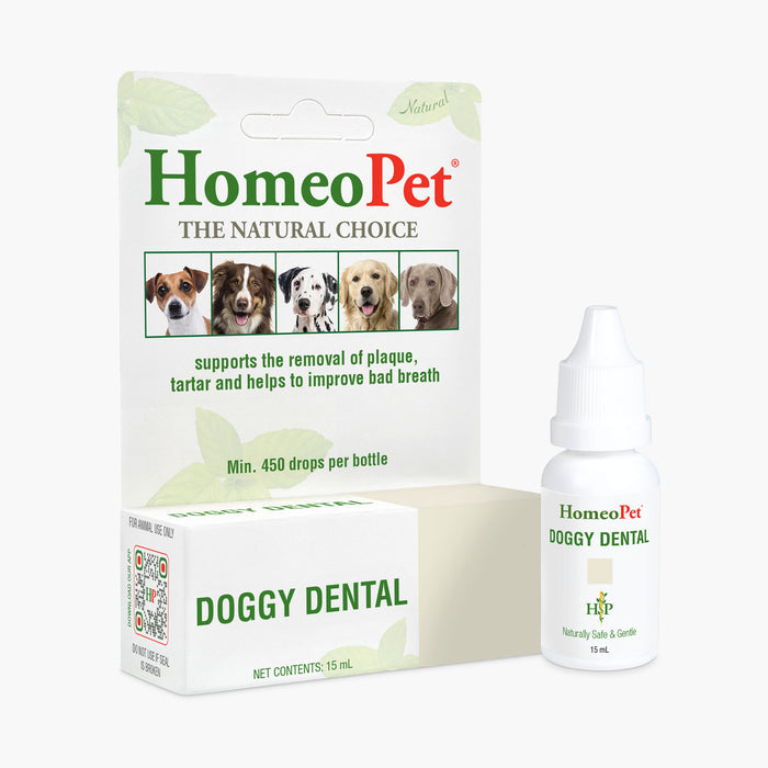 DOGGY DENTAL