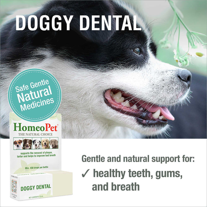 DOGGY DENTAL