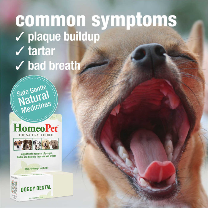 DOGGY DENTAL