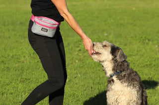 DOOG GOOD DOG TREAT & TRAIN POUCH GREY & PINK