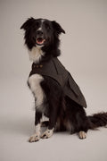 DRIZA-BONE APSLEY DOG COAT