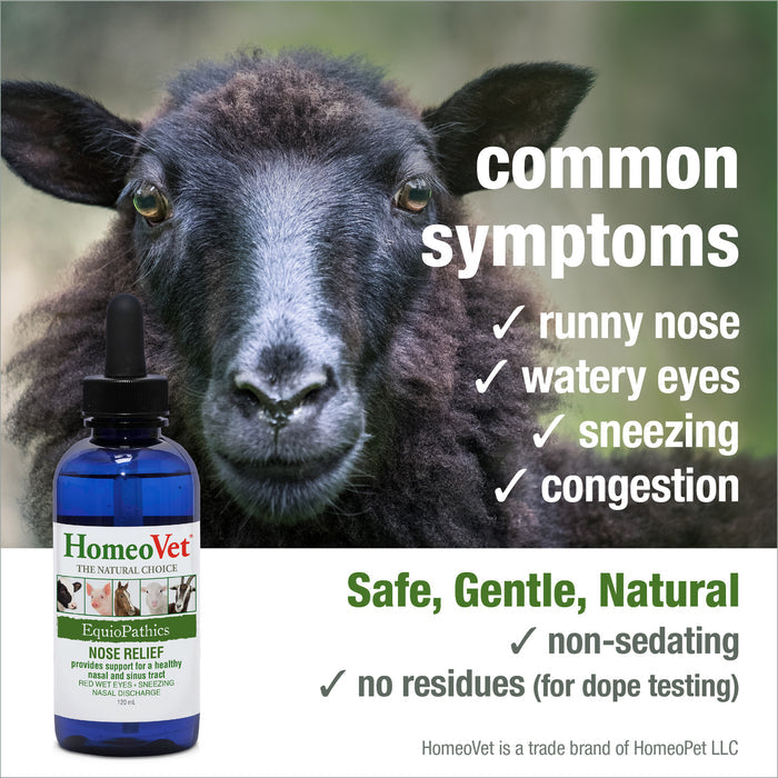 EquioPathics NOSE RELIEF