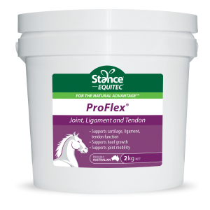 EQUITEC PROFLEX 2KG