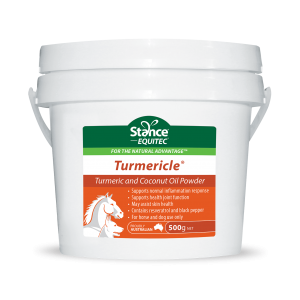 EQUITEC TUMERICLE 200G