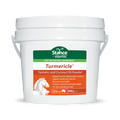 EQUITEC TUMERICLE 200G