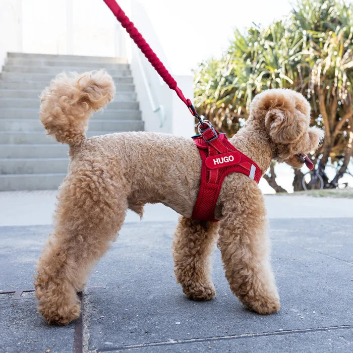 EZYDOG FORMFITA HARNESS GREEN