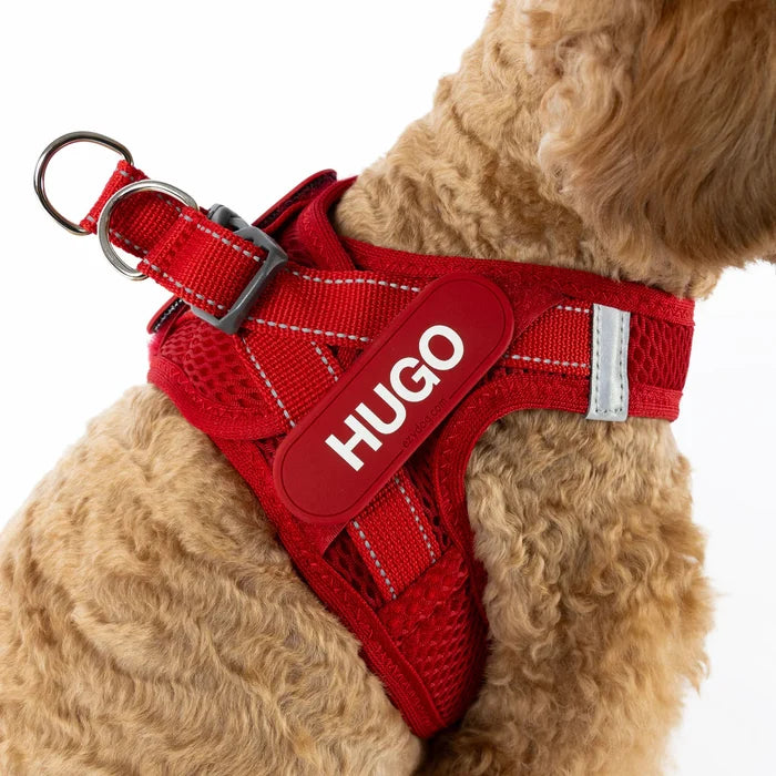EZYDOG FORMFITA HARNESS GREEN