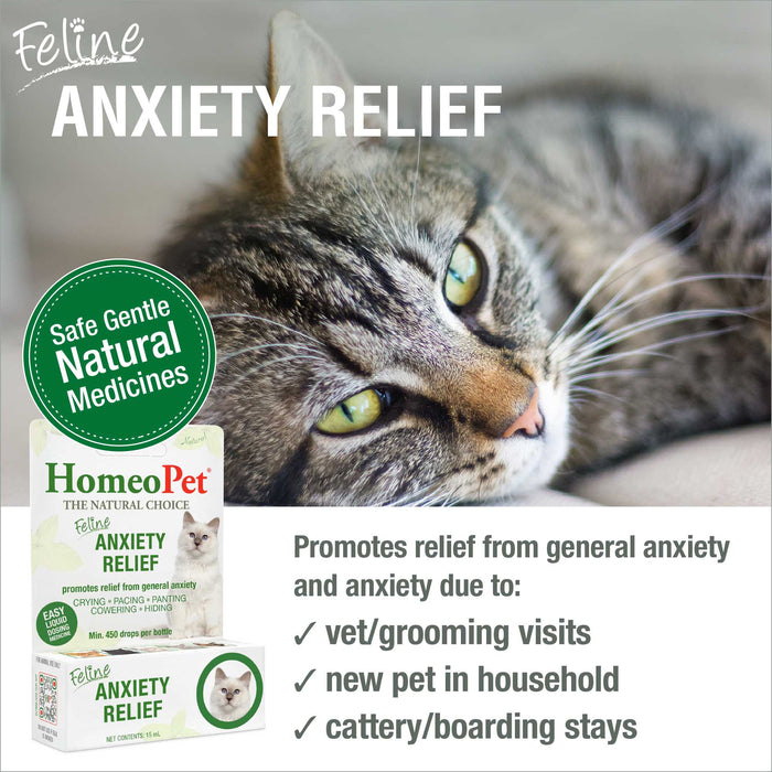 FELINE ANXIETY RELIEF