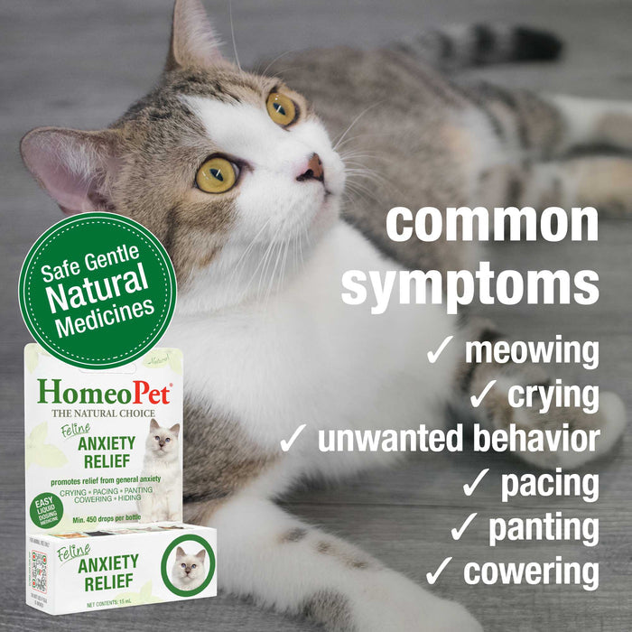 FELINE ANXIETY RELIEF