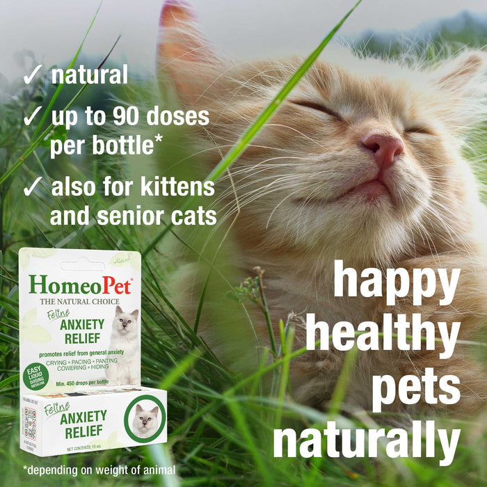 FELINE ANXIETY RELIEF