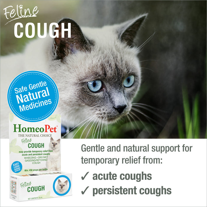 FELINE COUGH