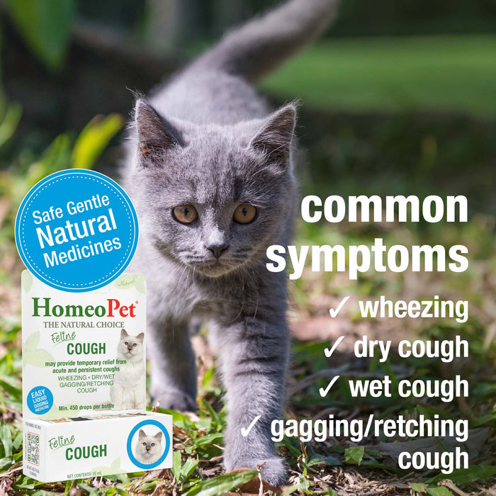 FELINE COUGH