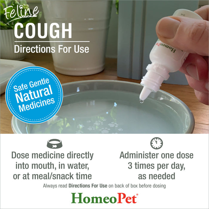 FELINE COUGH