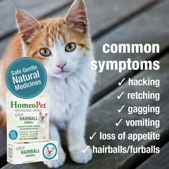 FELINE HAIRBALL FURBALL