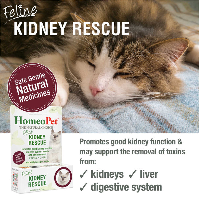 FELINE KIDNEY RESCUE