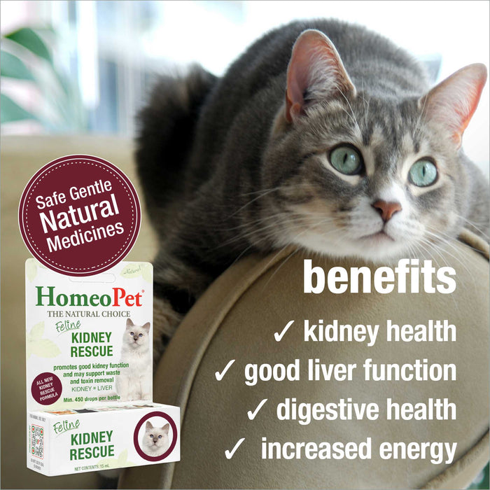 FELINE KIDNEY RESCUE