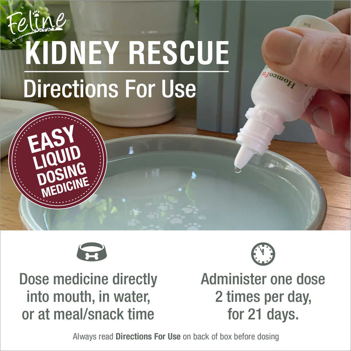 FELINE KIDNEY RESCUE