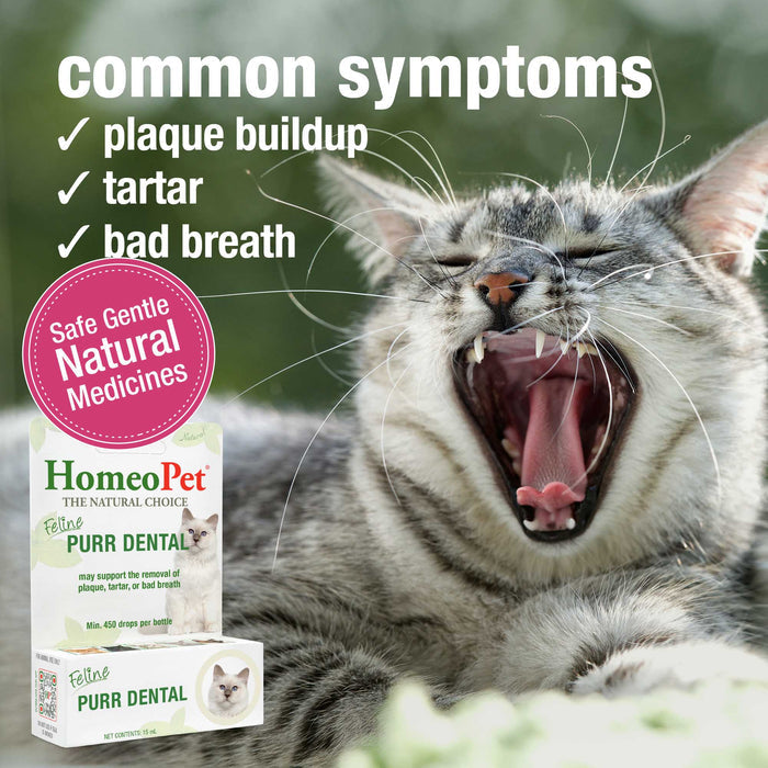 FELINE PURR DENTAL