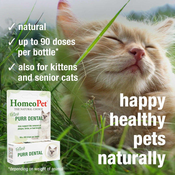 FELINE PURR DENTAL
