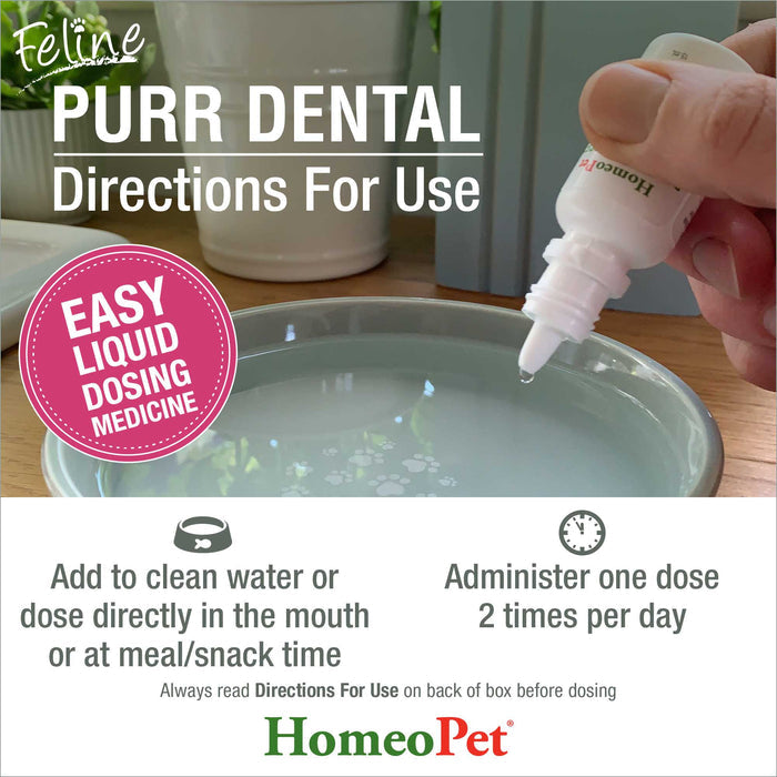 FELINE PURR DENTAL