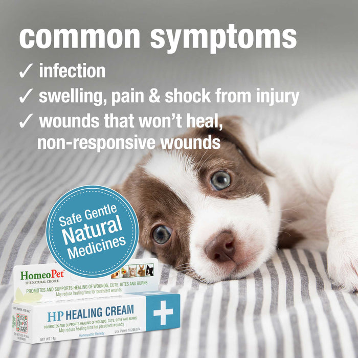 Feline Skin & Allergies