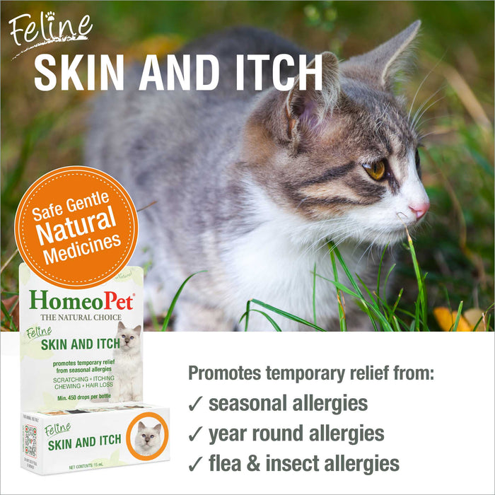 FELINE SKIN AND ITCH