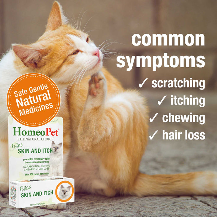 FELINE SKIN AND ITCH