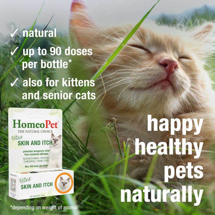 FELINE SKIN AND ITCH